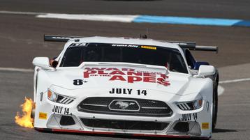 Tomy Drissi Reinstated by Trans Am